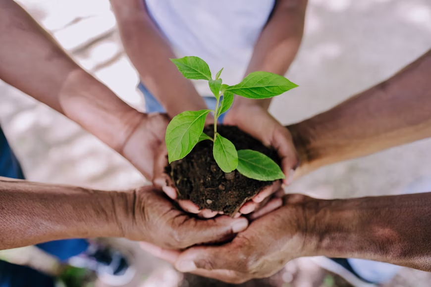 Environment & Plantation
